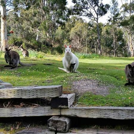 The Stone Cottage - Bruny Island Simpsons Bay Екстериор снимка